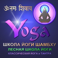 Школа Йоги Шамбху. Лесная Школа Йоги. Классическая йога и тантра